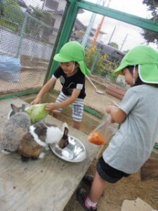 たくさん食べてね