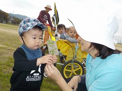 お花見つけたよ