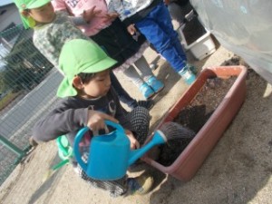 DSCN2747