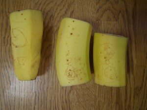 IMGP0093