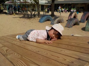 DSCN8150